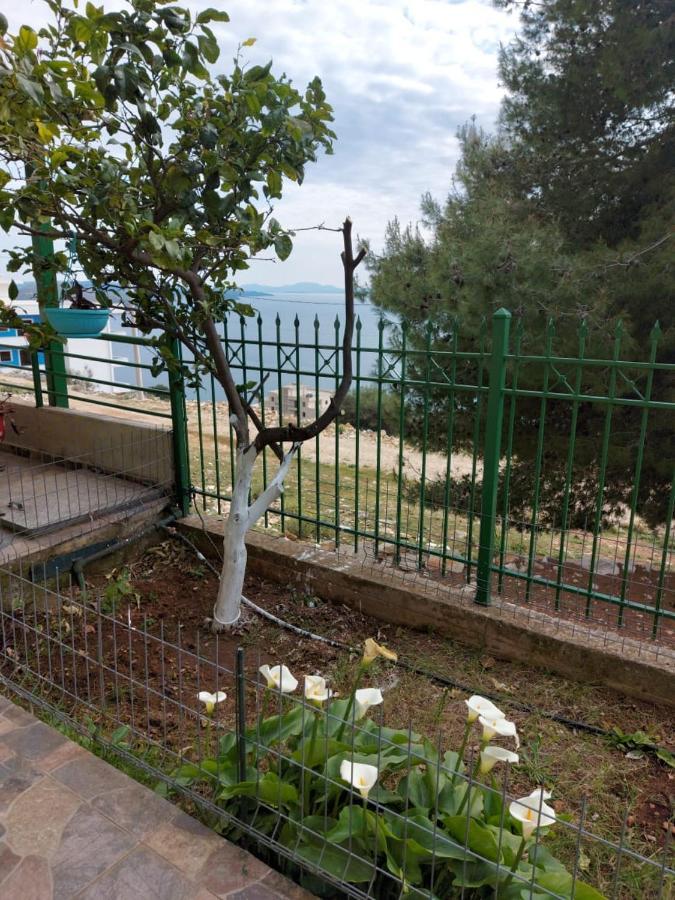 Villa Luiza Sarandë Buitenkant foto